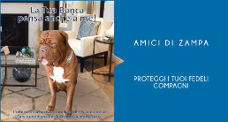 Amici di Zampa