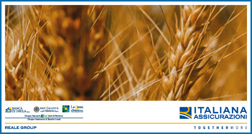 Immagine prodotto Agricoltura