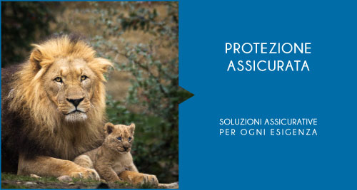 Immagine prodotto PROTEZIONE ASSICURATA - SOLUZIONI
